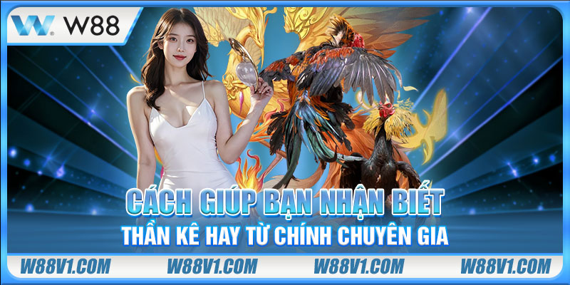 Cách giúp bạn nhận biết thần kê hay từ chính chuyên gia