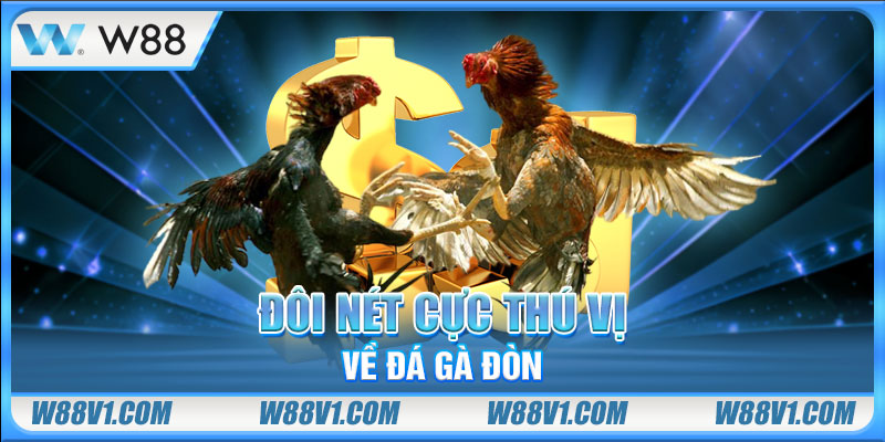 Đôi nét cực thú vị về đá gà đòn