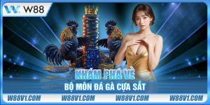 Khám phá về bộ môn đá gà cựa sắt