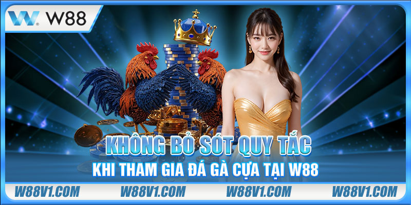 Không bỏ sót quy tắc khi tham gia đá gà cựa tại W88