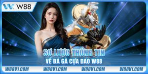 Sơ lược thông tin về đá gà cựa dao W88