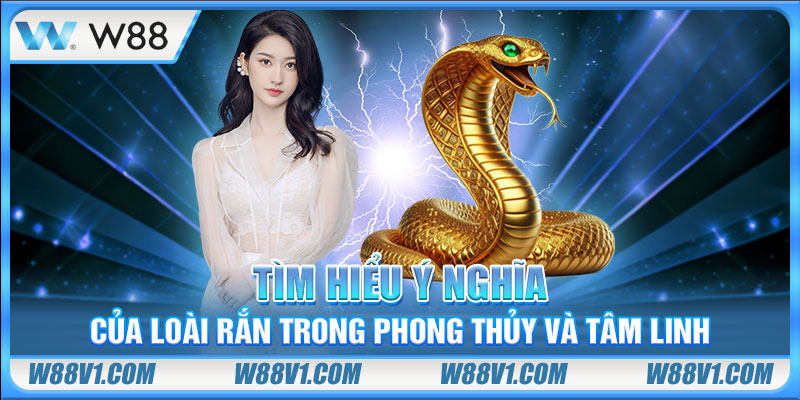 Tìm hiểu ý nghĩa của loài rắn trong phong thủy và tâm linh